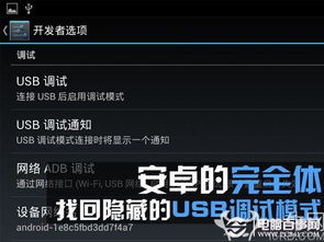 USB調試不見了怎么辦？電腦圖文設計找回隱藏的USB調試模式指南